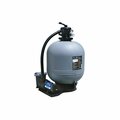 Waterway 22 Oval Sand Filter System - 1.00 THP 52253476S